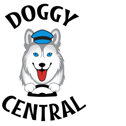 Accessories - Doggy Central